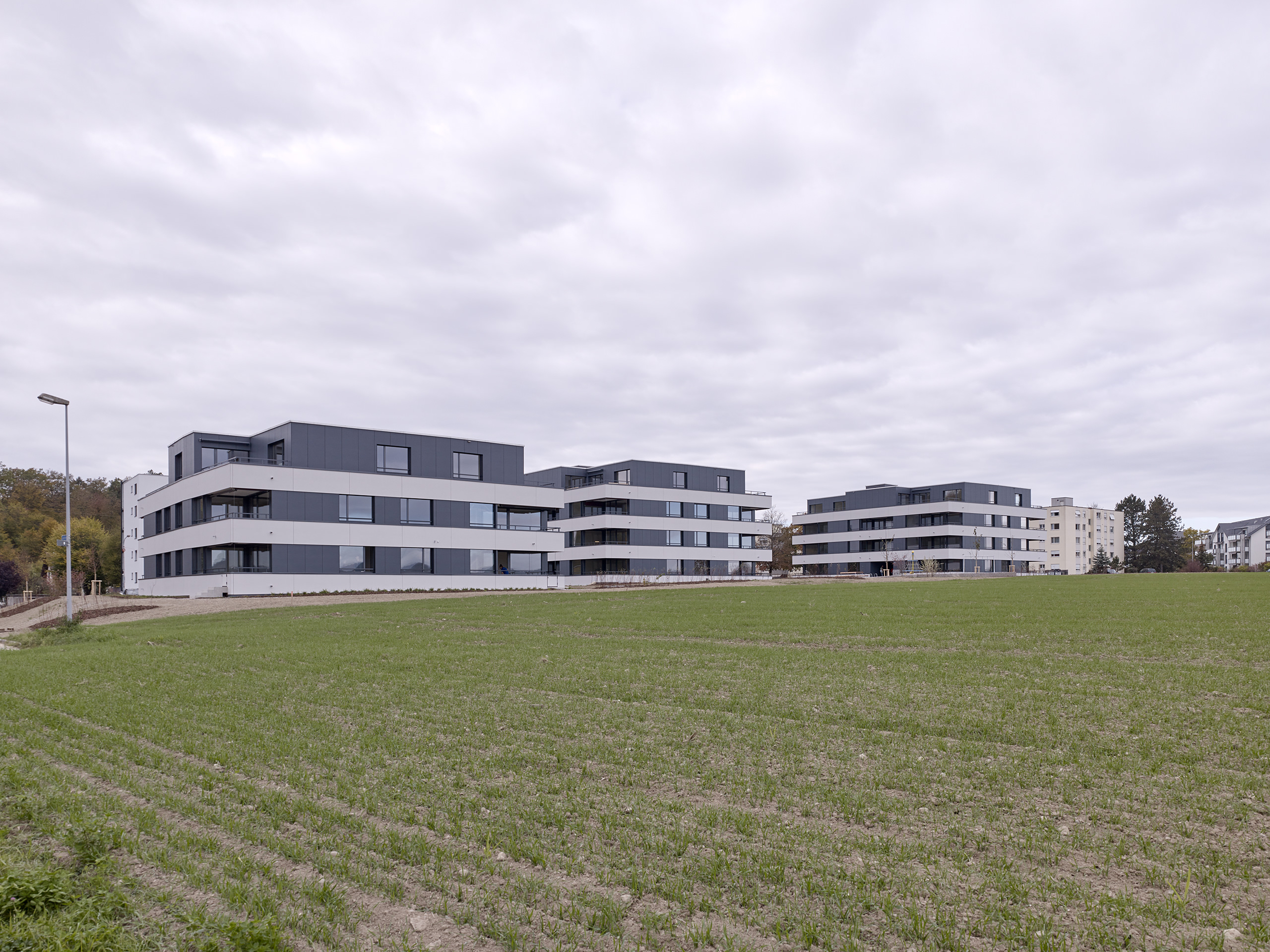 E18686 Alpa 080247 SCREEN